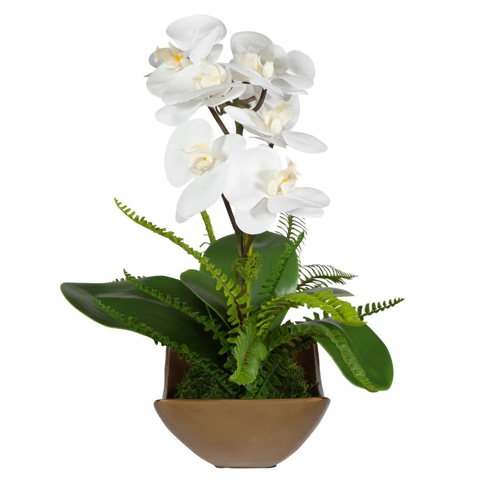 Transcend Orchid - Image 4