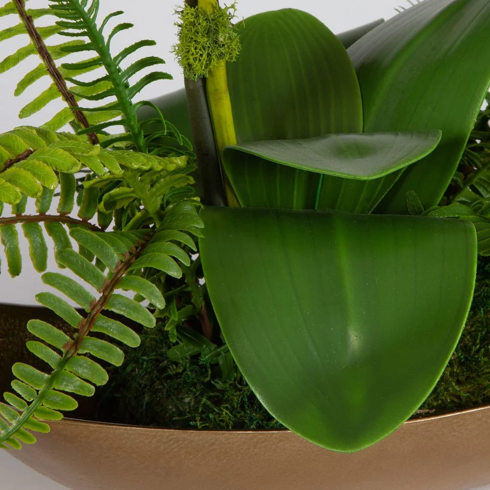Transcend Orchid - Image 6