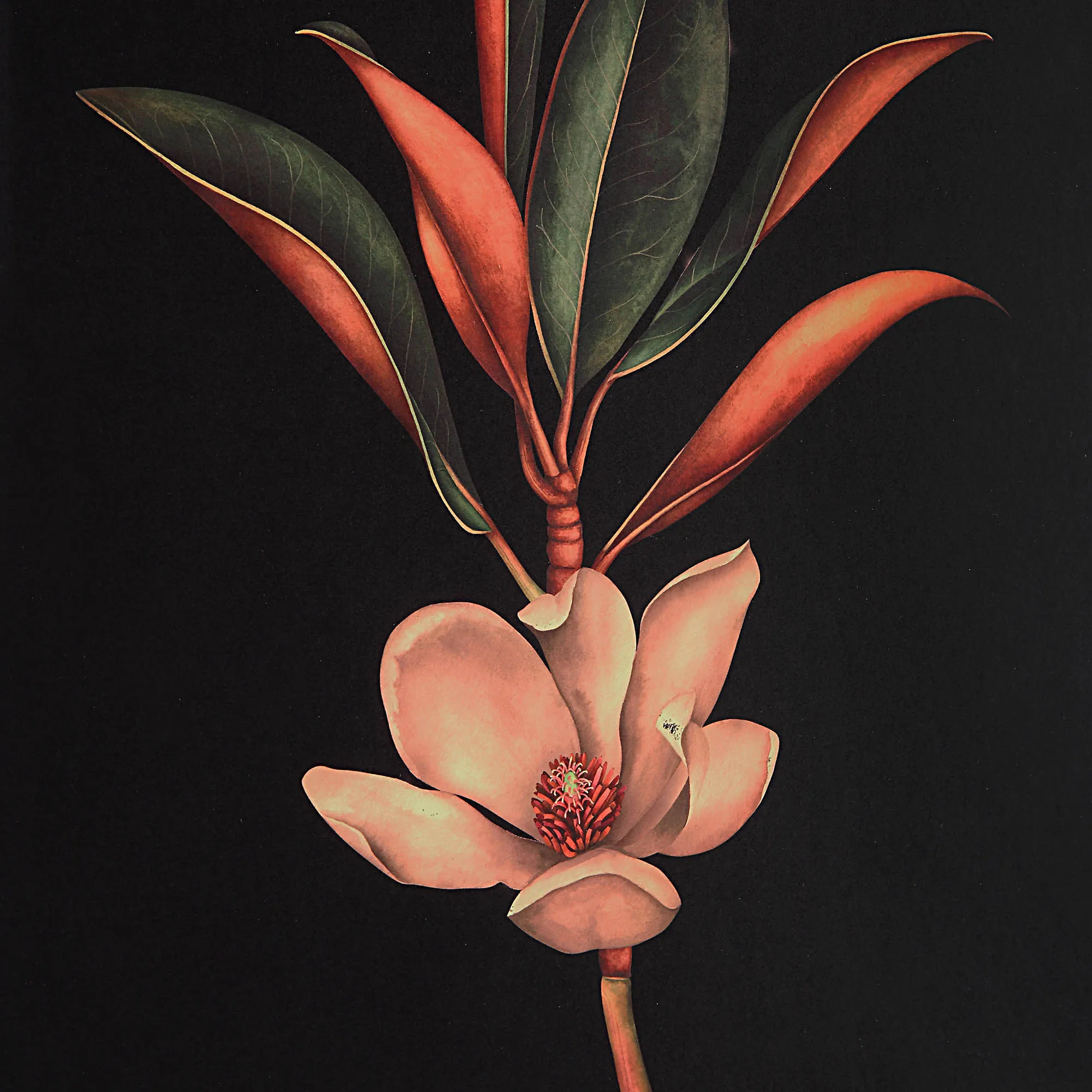 Wallflower Wall Decor Set Of 6 - Image 5