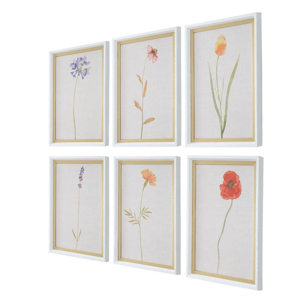 Wild Flourish Framed Prints, S/6 - Image 3