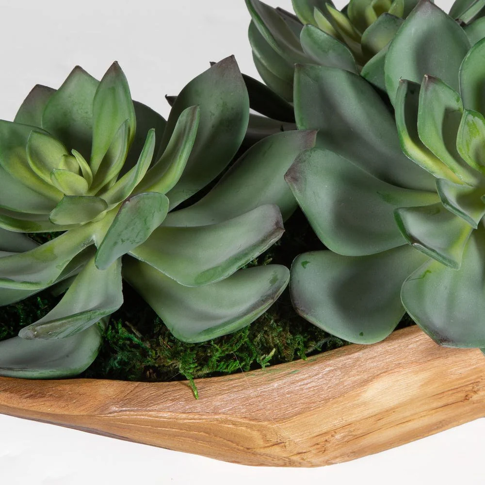 Yuma Succulent Centerpiece - Image 5